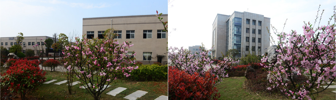 HUBEI FANGTONG PHARMACEUTICAL CO.,LTD.